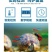 水族温度计电子温度计数字显示温度计养鱼温度计空调热水