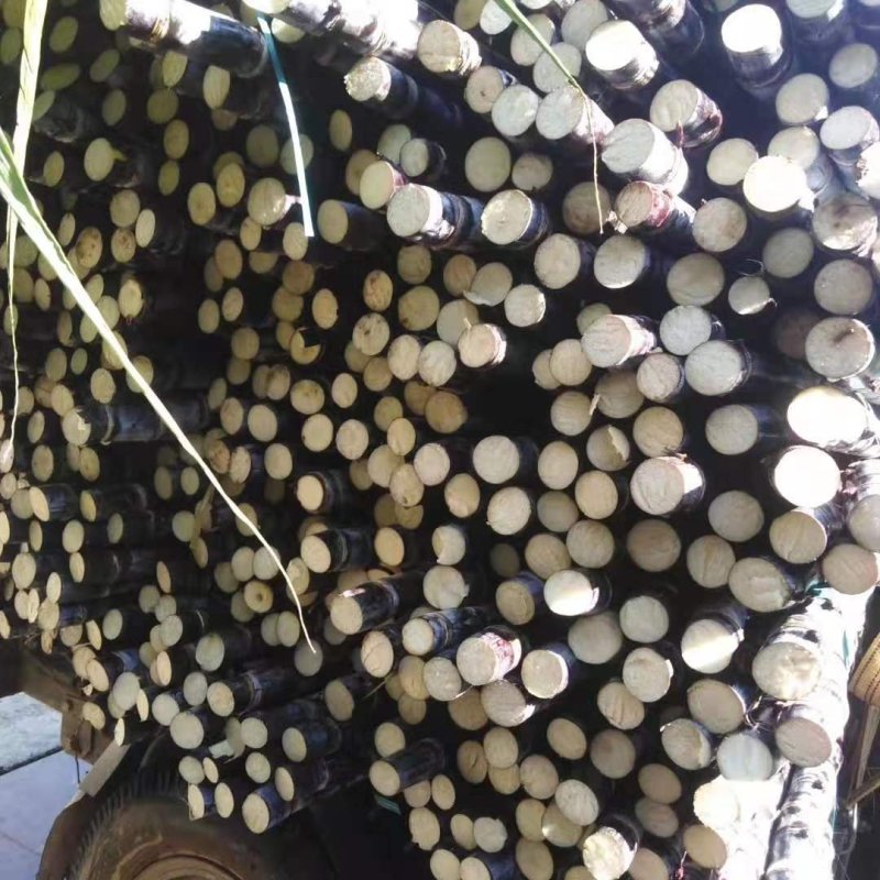 甘蔗大户，热卖区(广西甘蔗)基地直供，回程车。