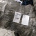 梨树苗0.8~3cm100~150cm预售