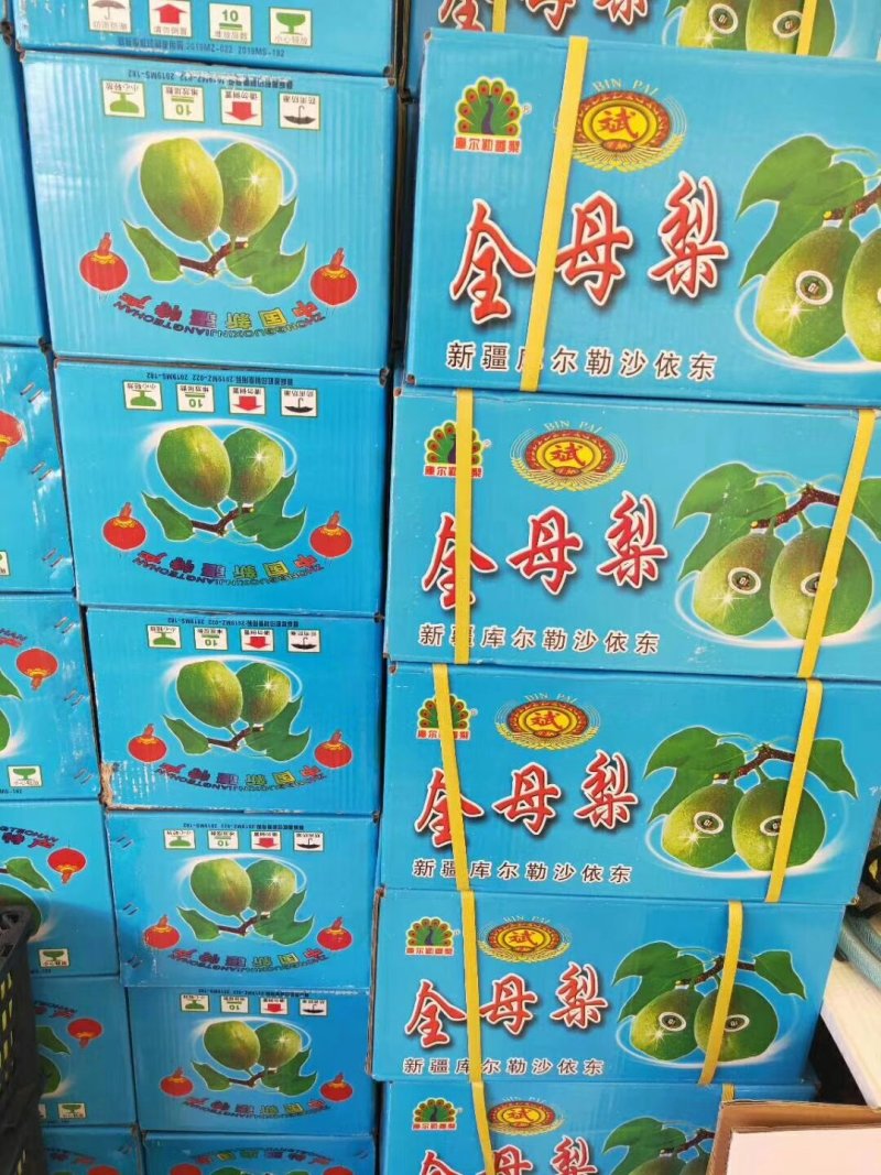 新疆库尔勒沙依东香梨14斤/件，新疆直邮！最新采摘1件起
