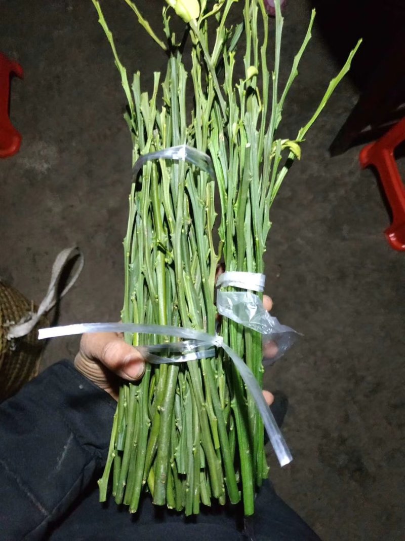 明日见支条可签合同，保湿发货！提供技术指导！