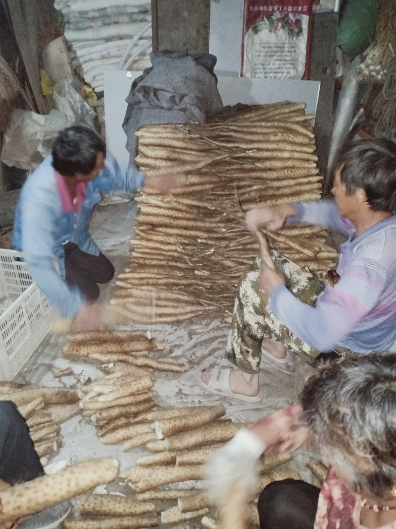 山药
