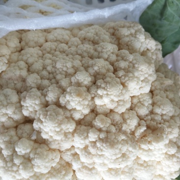精品白花菜新鲜花菜产地直发菜花青梗松花高品质菜花椰菜
