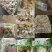 春笋冬笋罐头笋大量批发，量大从优。