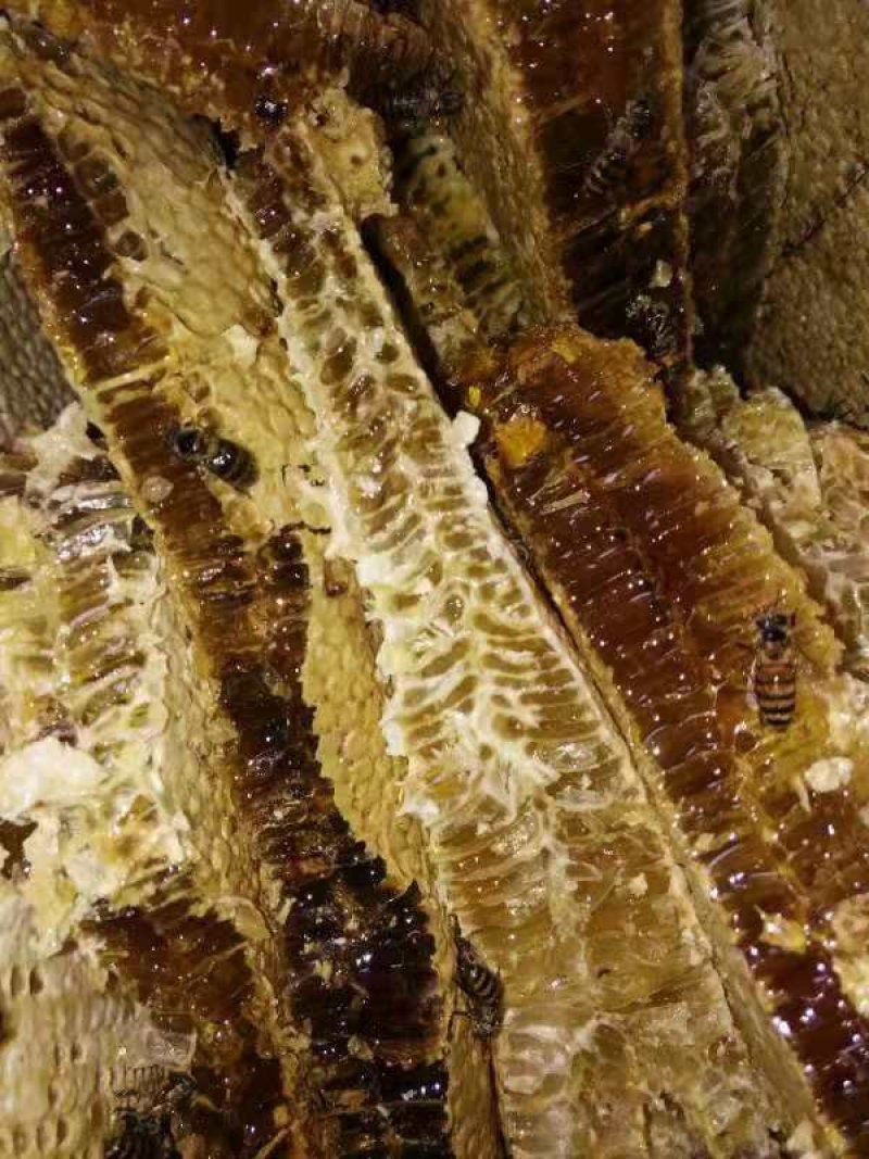 贵州大山里的纯野生蜂蜜