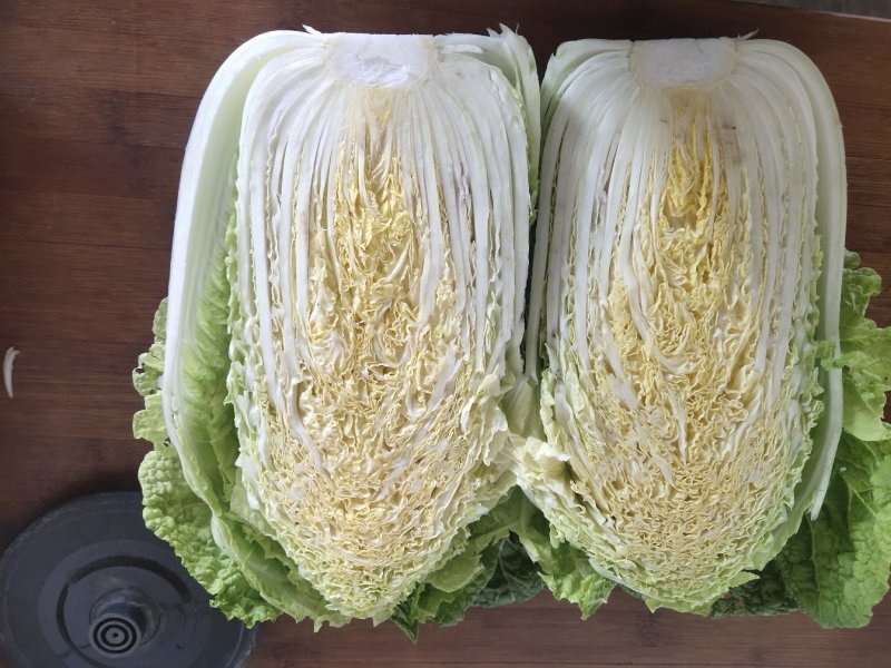 黄心白菜，形状和娃娃菜一样，就是比娃娃菜大一点