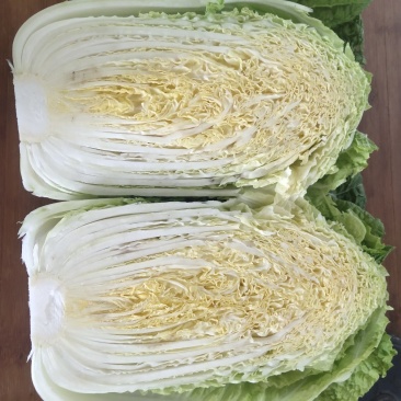 黄心白菜，形状和娃娃菜一样，就是比娃娃菜大一点