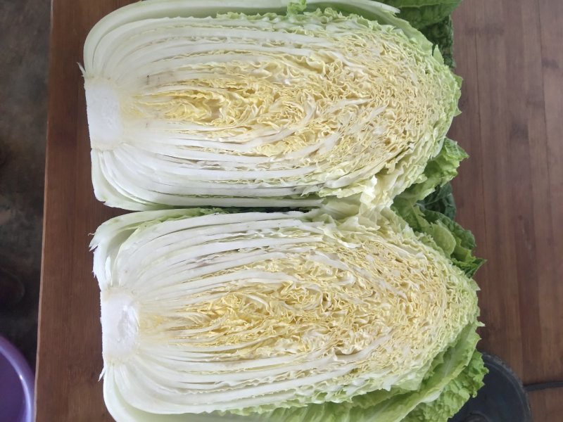 黄心白菜，形状和娃娃菜一样，就是比娃娃菜大一点