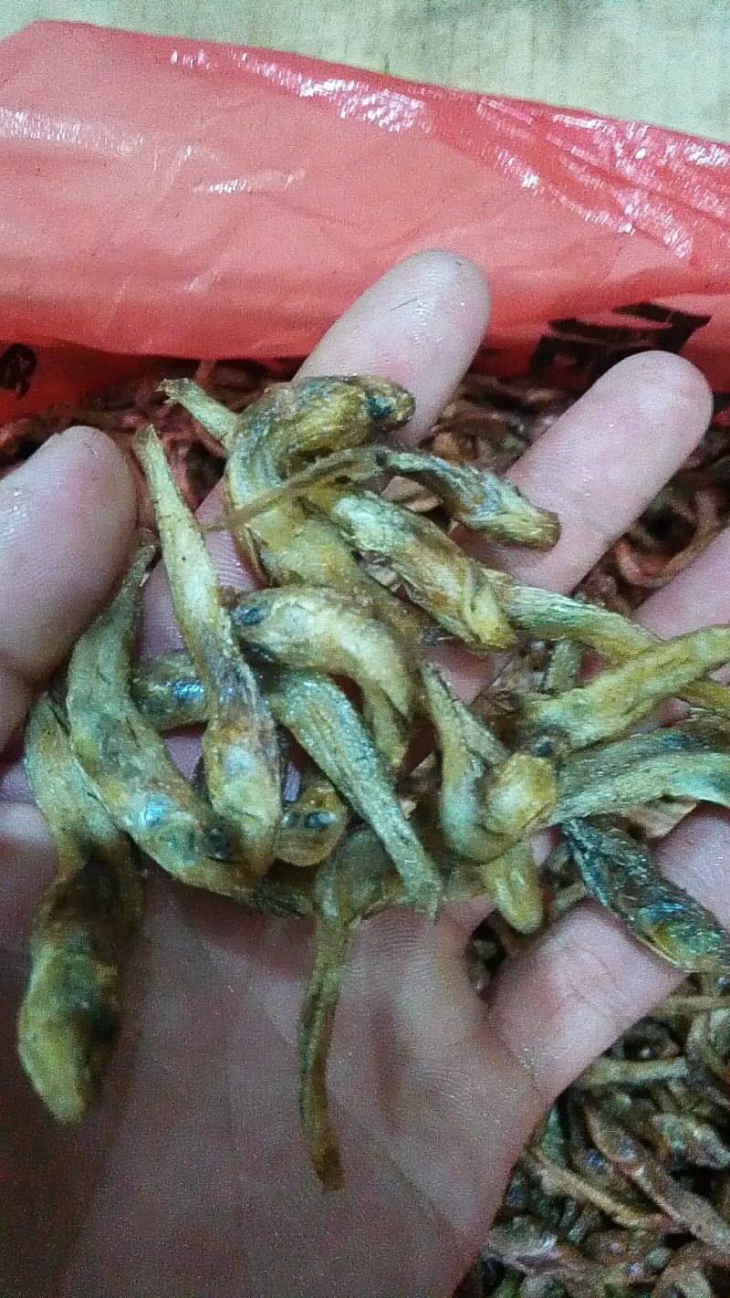 狗头鱼干笋壳鱼干沙沟鱼干棍子鱼干
