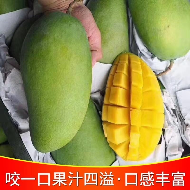 越南大青芒新鲜水果应季孕妇水果