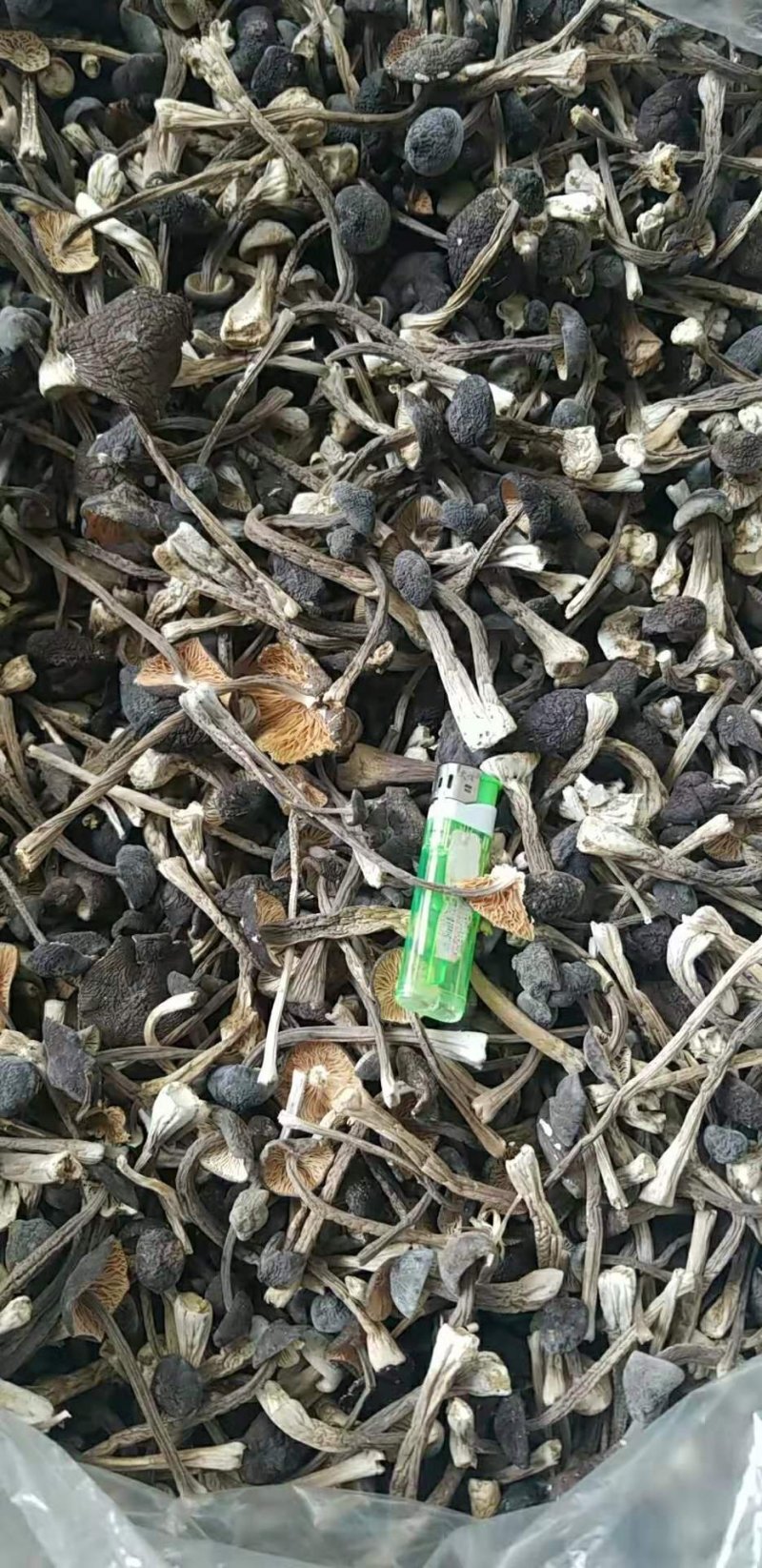 新品黑皮鸡枞菌干货剪泥脚精品特级食用菌野生菌