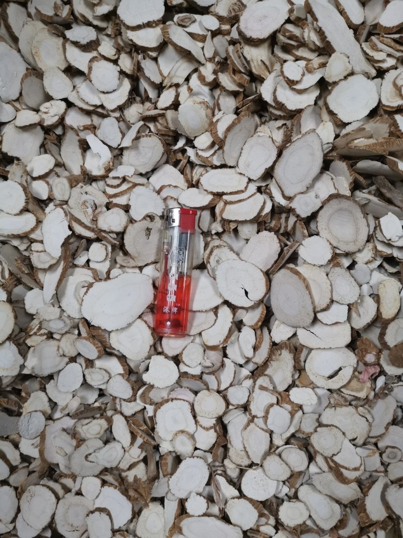 常年供应白芷片各种规格可订购长片圆片都有