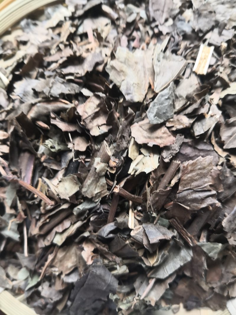 肿节风草珊瑚江西1公斤起批无硫无添加不包邮