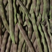 豆类，各种品种豆角开始上市了