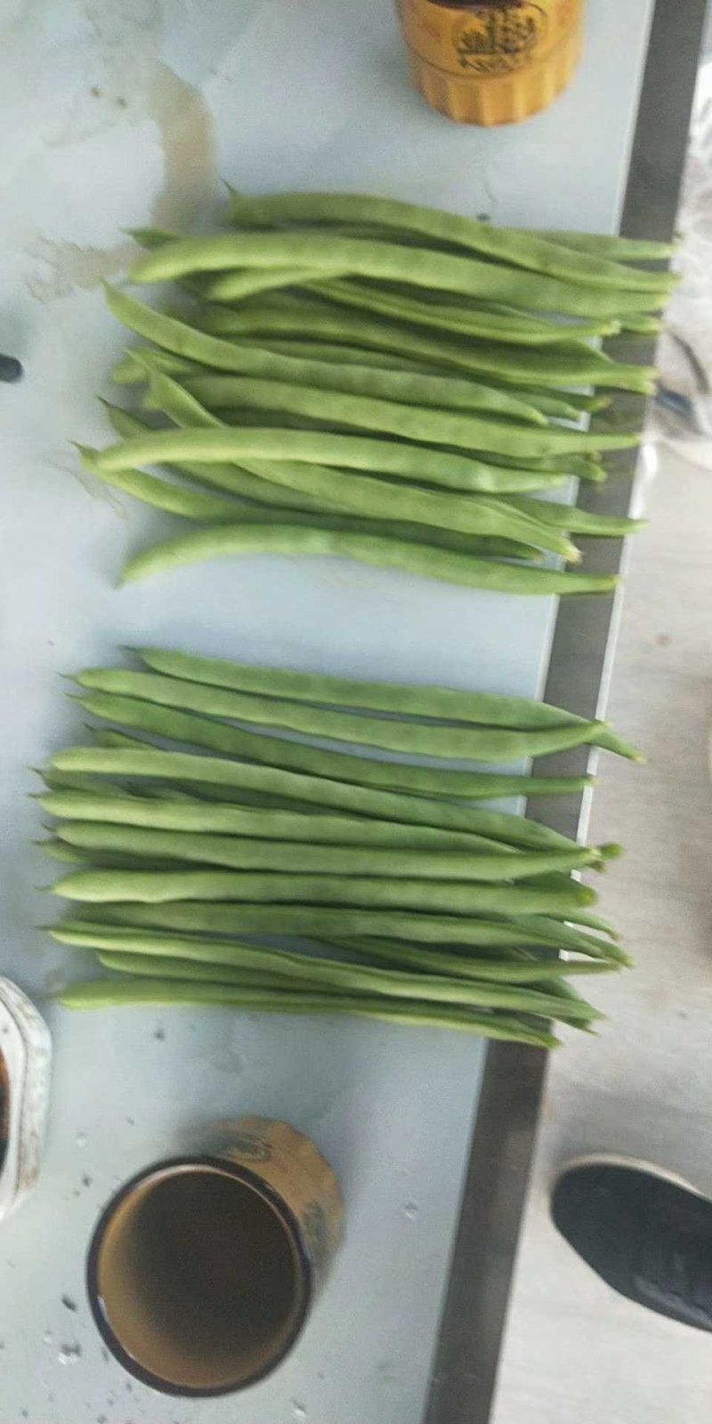 云南精品四季大量供货量大从优品质高价格美支持视频看货