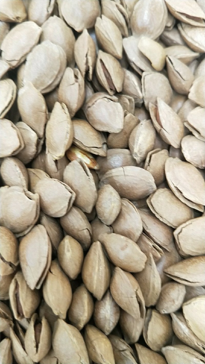 开口杏核杏仁，一首货源，没有中间商差价，