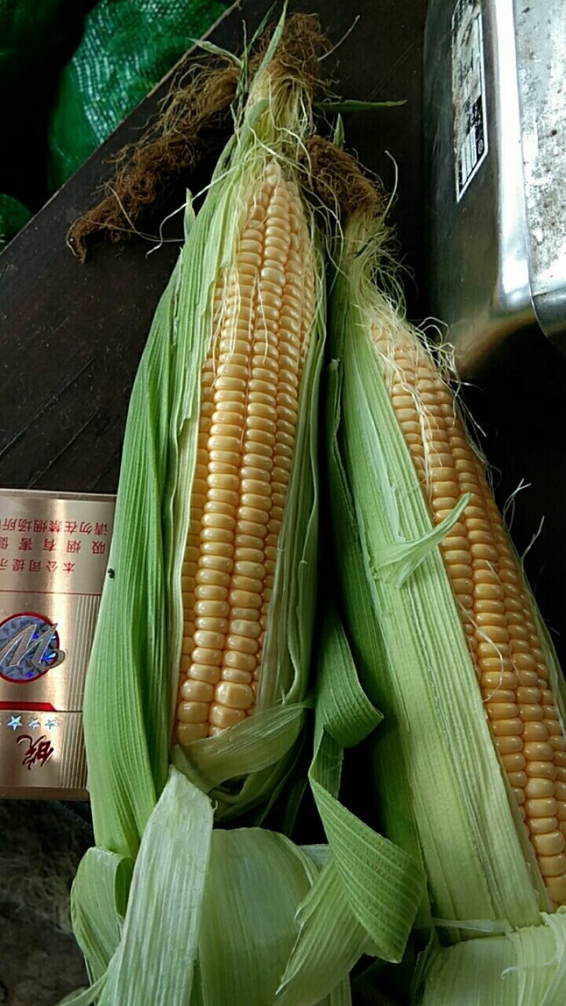 玉米水果玉米，花糯，小花，大花，新甜六号