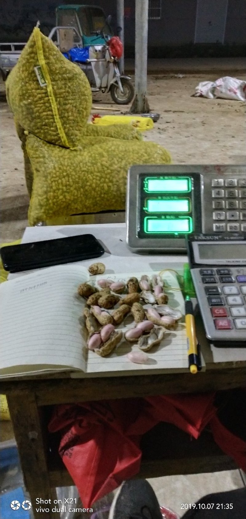 鲜花生品种丰花.海花。过筛手选老度达标.颗粒饱满.口感甜