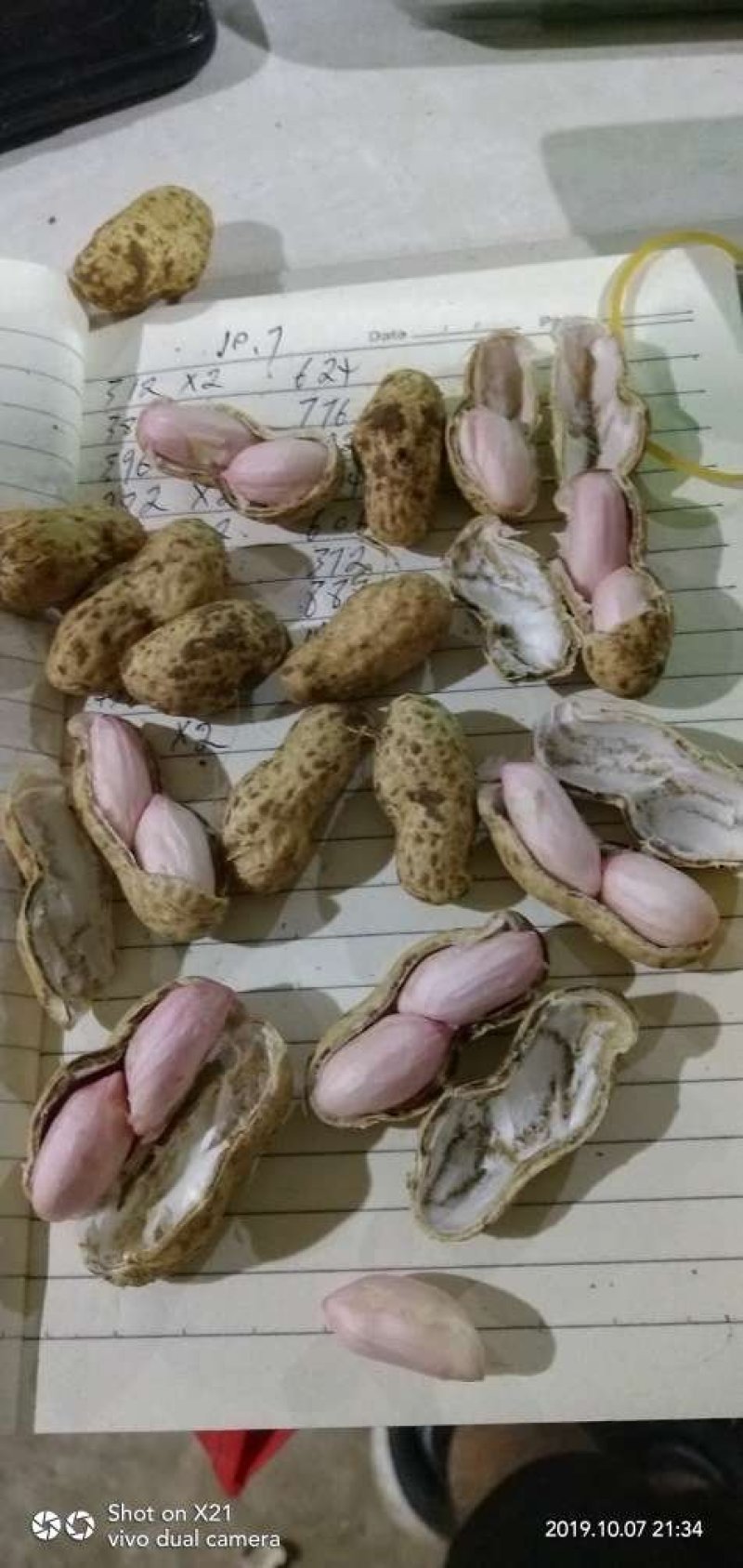 鲜花生品种丰花.海花。过筛手选老度达标.颗粒饱满.口感甜