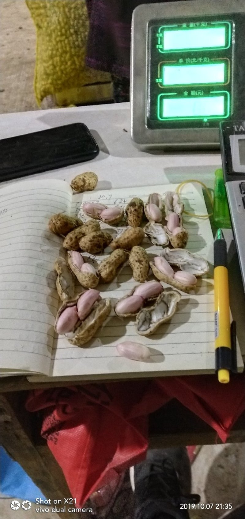 鲜花生品种丰花.海花。过筛手选老度达标.颗粒饱满.口感甜