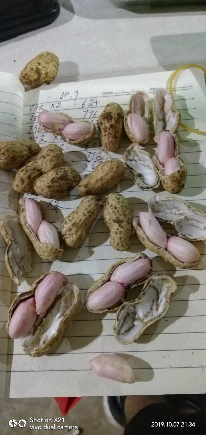 鲜花生品种丰花.海花。过筛手选老度达标.颗粒饱满.口感甜