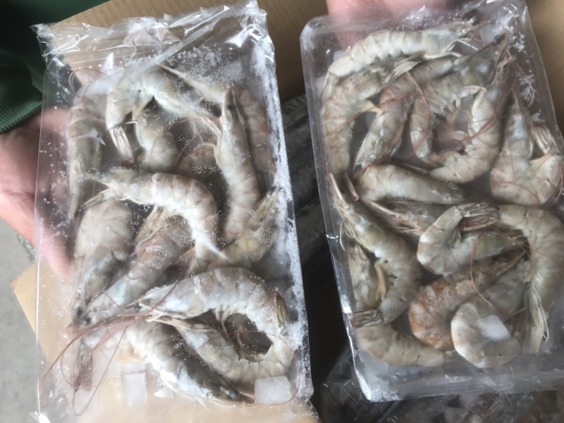 白对虾