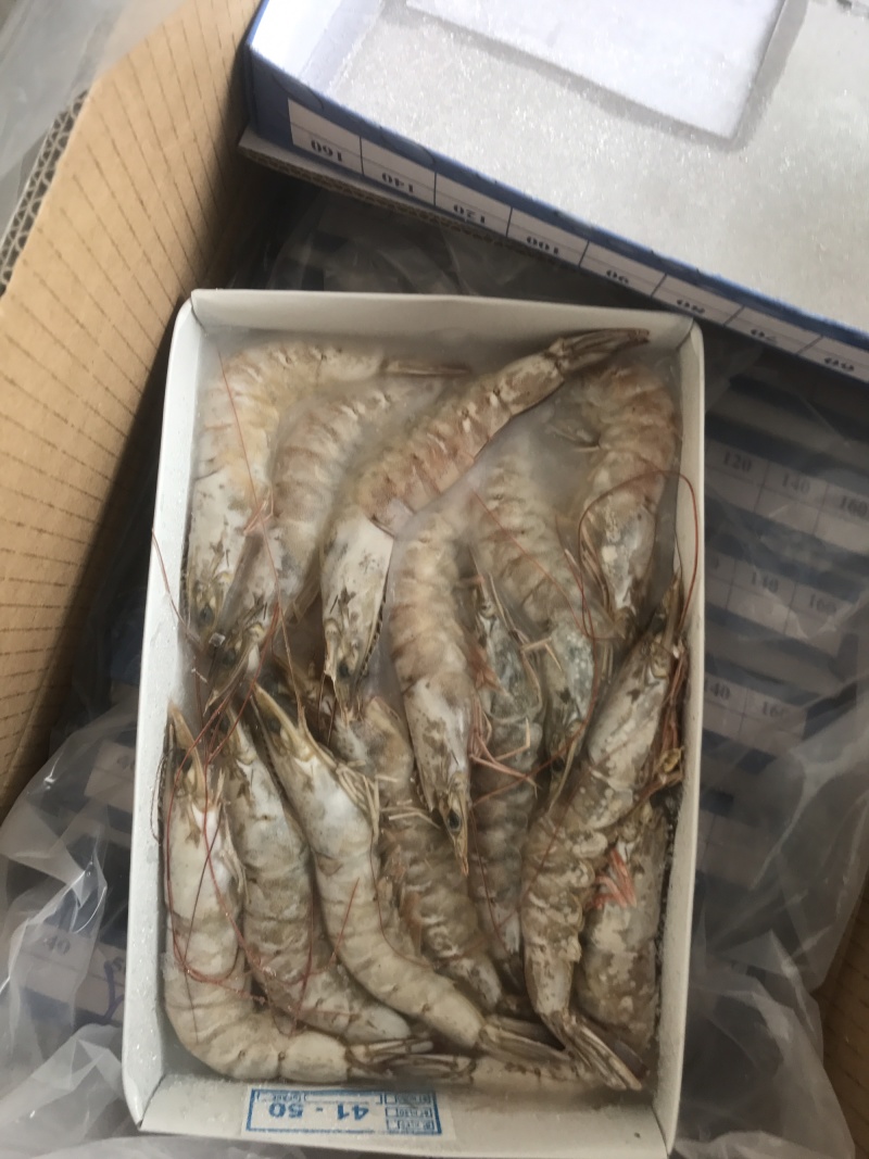 白对虾