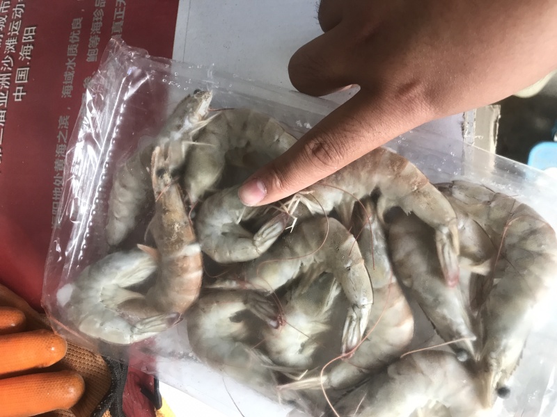 白对虾