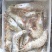 白对虾