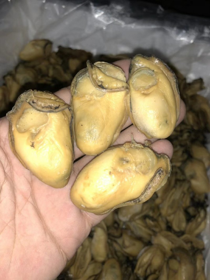 蚝干广东省内包邮蚝干78元一斤