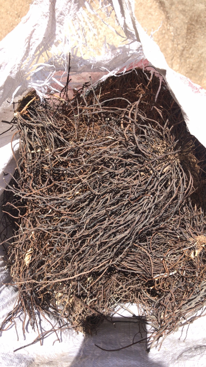 出售东北水洗野生威灵仙百家货，质量保证