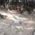 公司直销场地价格，一手货源