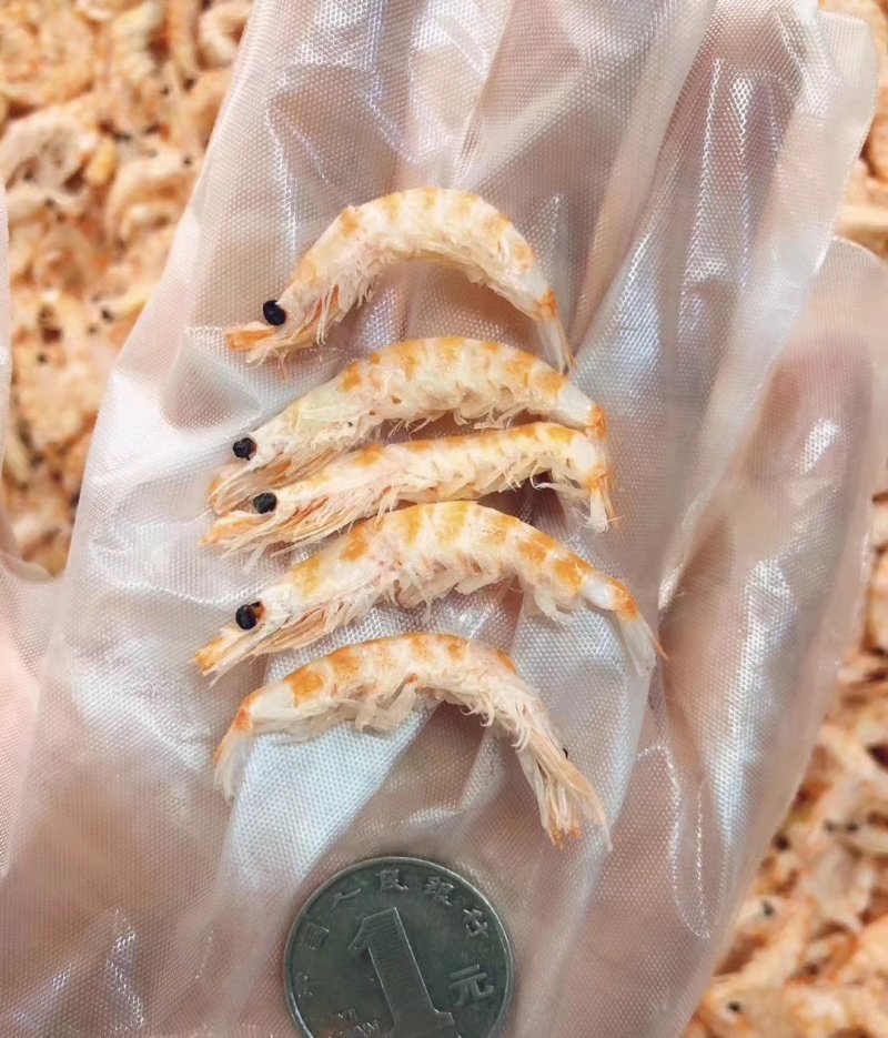 南极磷虾干