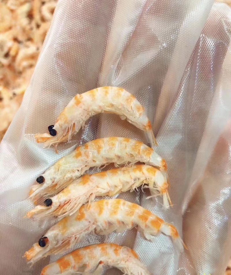 南极磷虾干