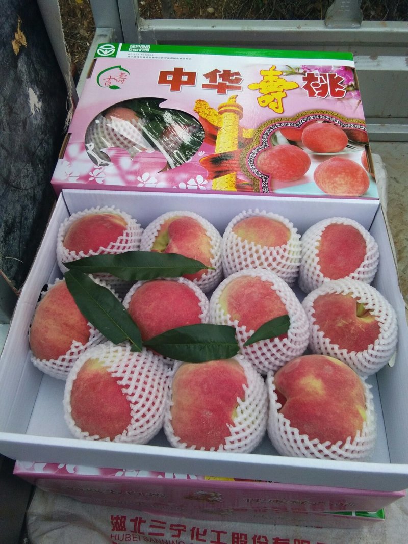 中华寿桃