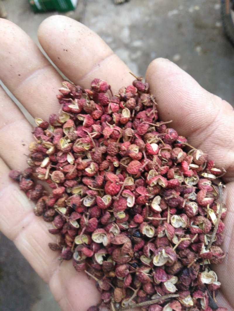 花椒，莱芜大红袍花椒