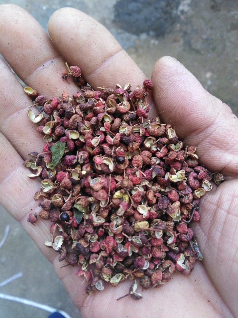 花椒，莱芜大红袍花椒