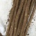 小白嘴白山药