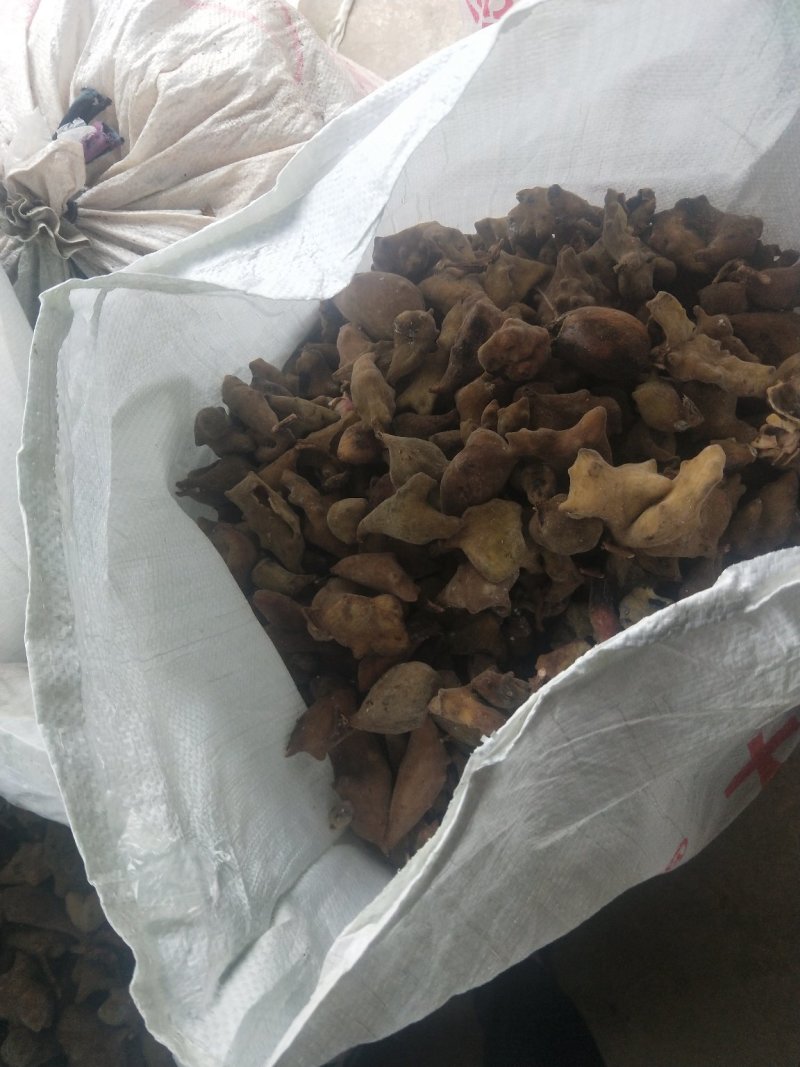 五倍子，不满意可以退货。如有得罪请多包涵