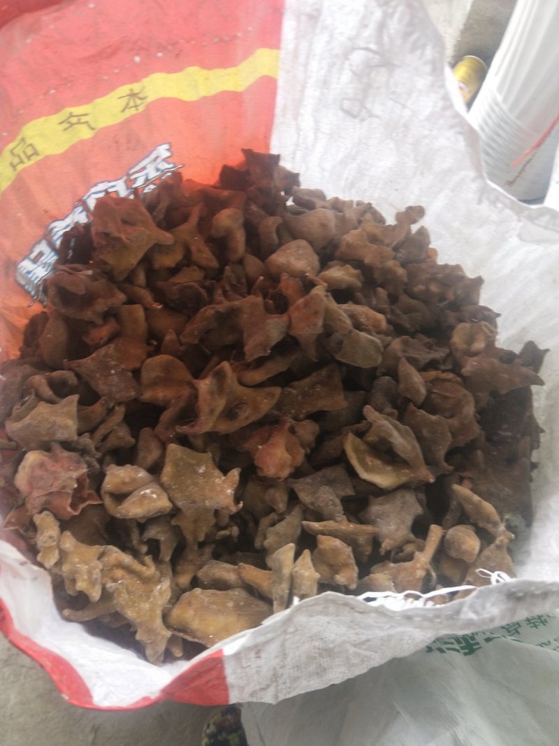 五倍子，不满意可以退货。如有得罪请多包涵