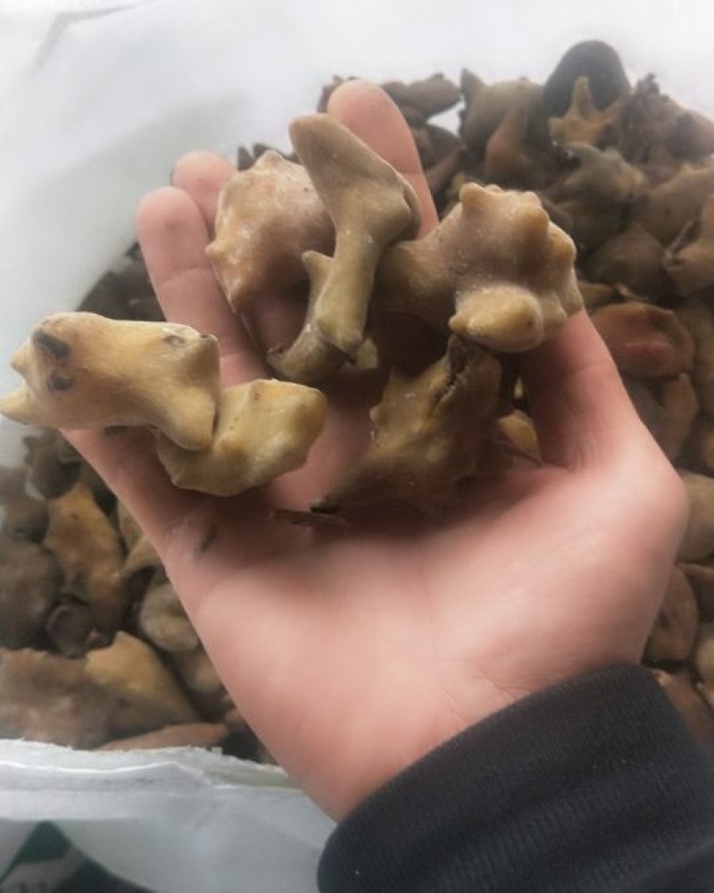 五倍子，不满意可以退货。如有得罪请多包涵