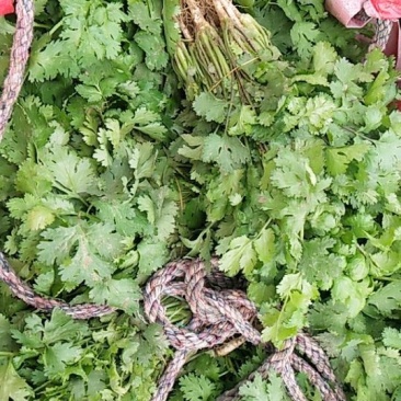 湘菜