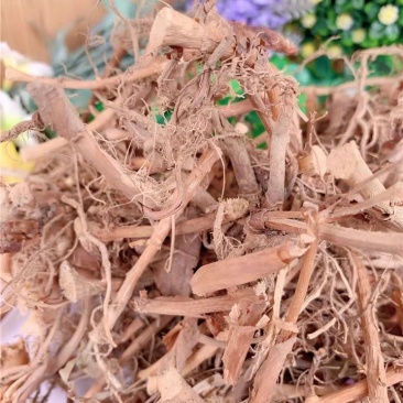 砂仁根,产地直供，质优价实，品质保证，药典标准道地良药