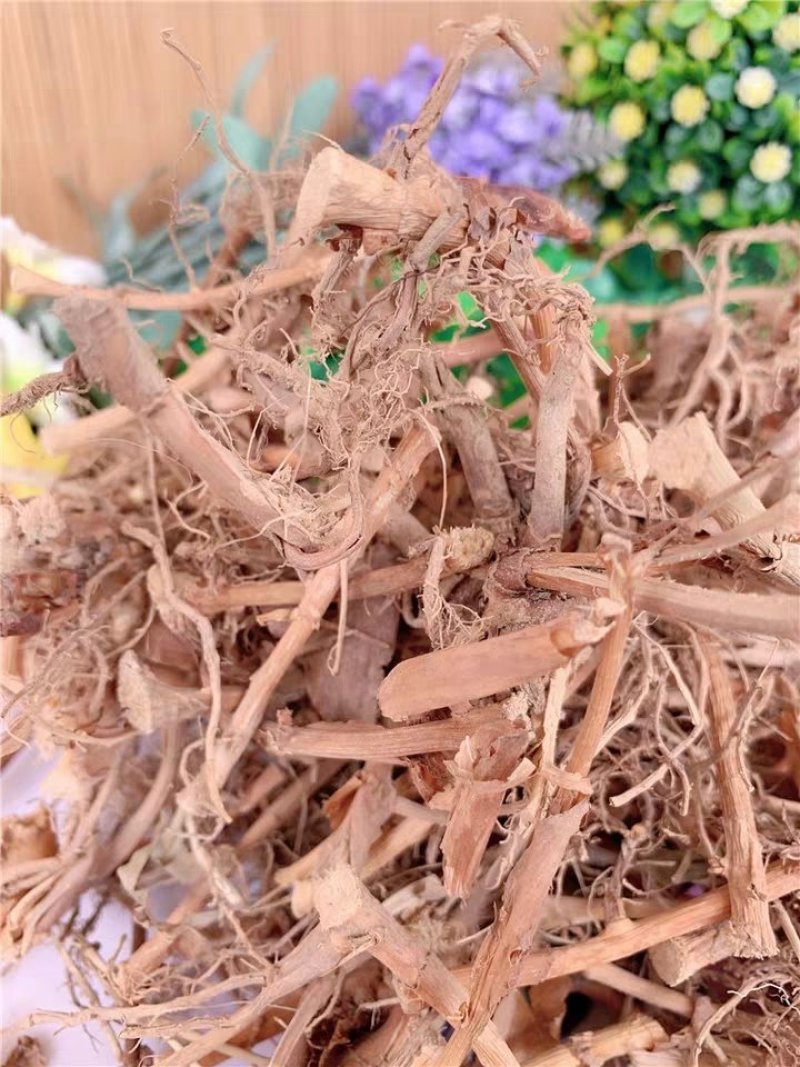 砂仁根,产地直供，质优价实，品质保证，药典标准道地良药