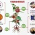 黑老虎♦布福娜2斤/件（招代发）少籽肉多甜甜甜甜甜