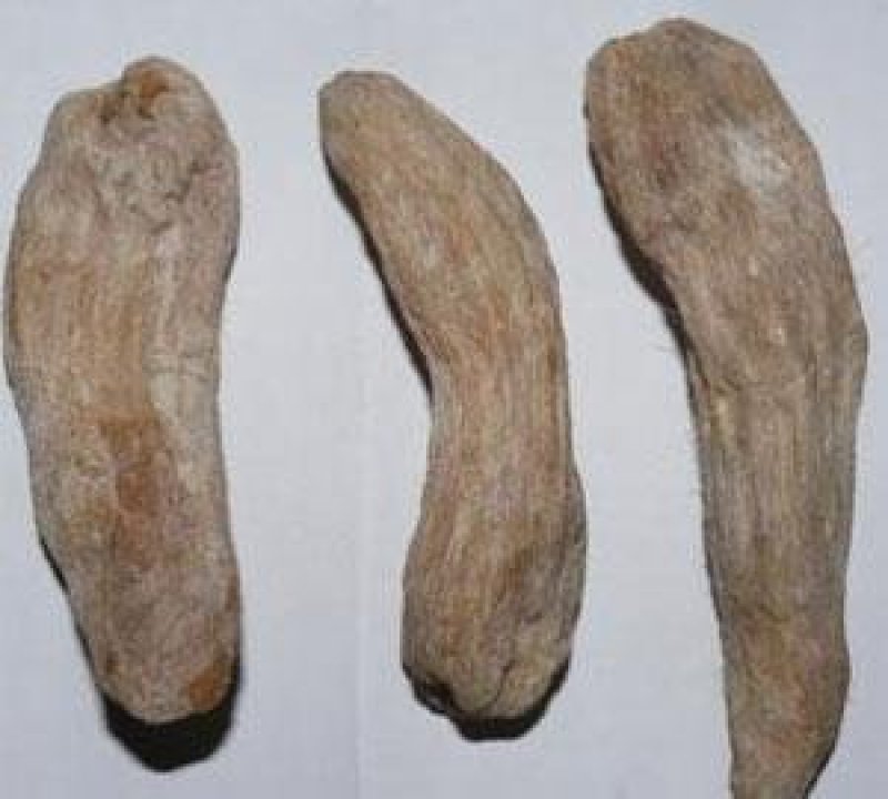 芭蕉根,产地直供，质优价实，品质保证，药典标准道地良药