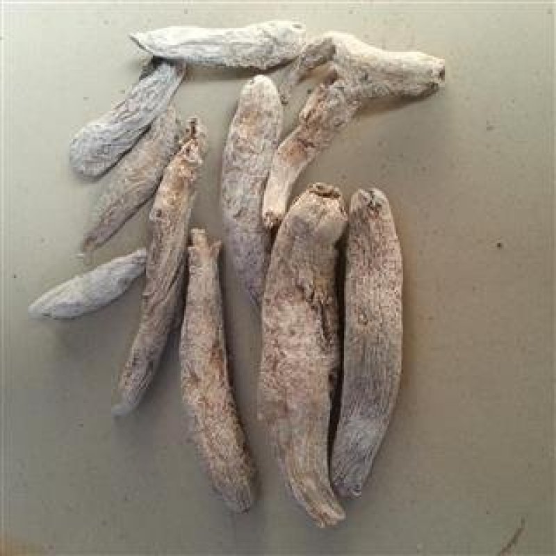 芭蕉根,产地直供，质优价实，品质保证，药典标准道地良药