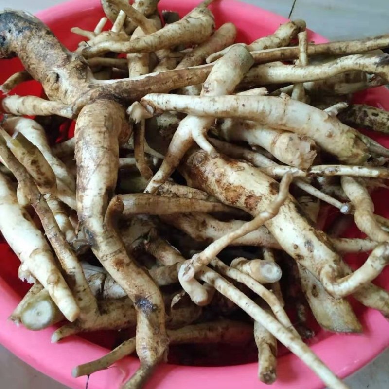 蓖麻根,产地直供，质优价实，品质保证，药典标准道地良药