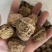 新果云南麻子，果肉饱满坏果少