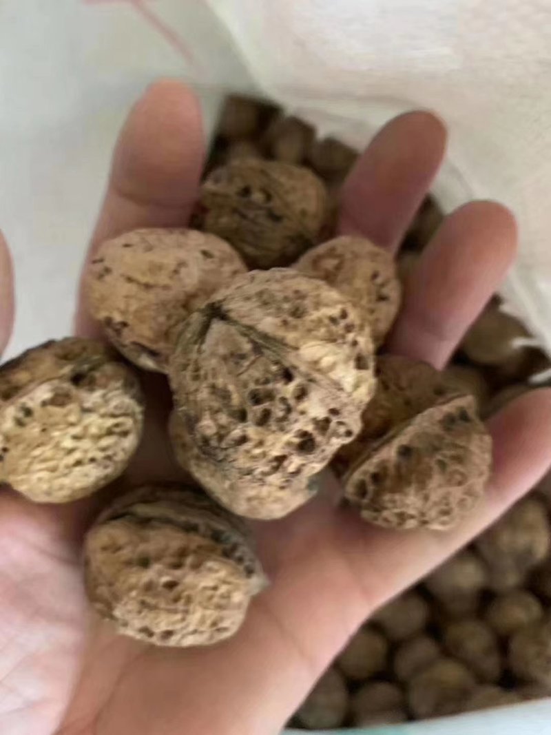 新果云南麻子，果肉饱满坏果少